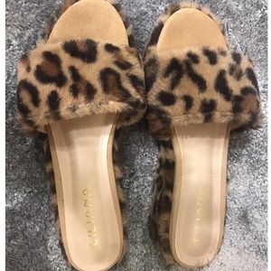 fur cheetah platforms